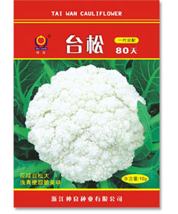 台松80天-青梗松花