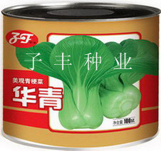 种子—华青青梗菜100克