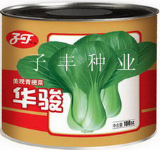 种子—华骏青梗菜100克
