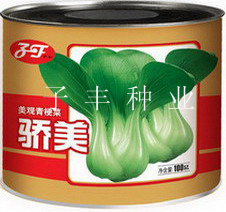 种子—骄美青梗菜100克