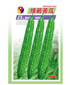 绿箭苦瓜