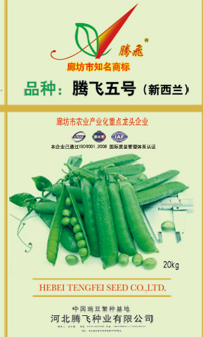 腾飞五号（新西兰）20kg