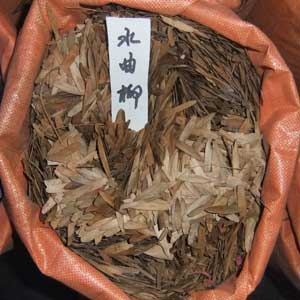 石竹种子、马棘种子、芒草种子、柠条种子、冰草种子、景天种子