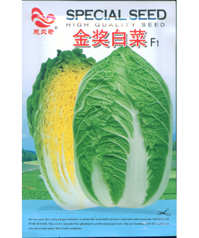 金奖白菜