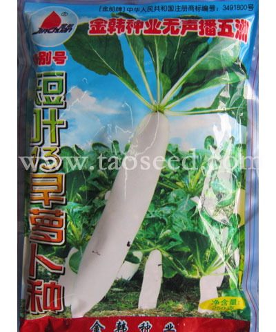短叶13早萝卜种