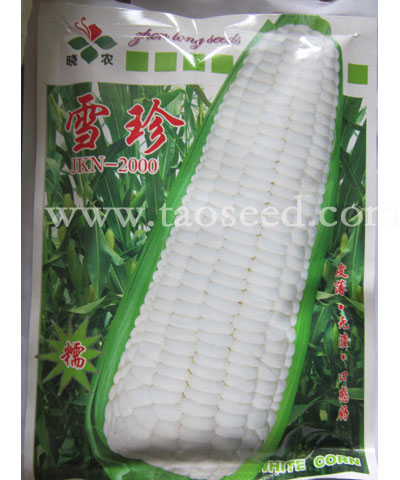 雪珍甜糯玉米