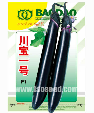 川宝一号茄子