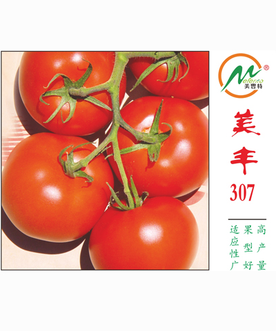 美丰307