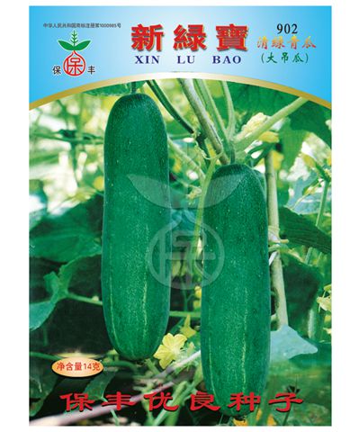 新绿宝902清绿青瓜（大吊瓜）
