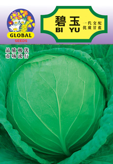 碧玉甘蓝