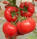 点击在新窗口中打开