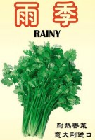 点击在新窗口中打开