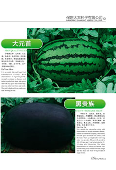 点击在新窗口中打开