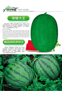 点击在新窗口中打开