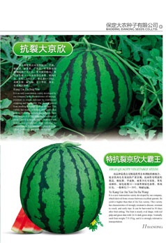 点击在新窗口中打开