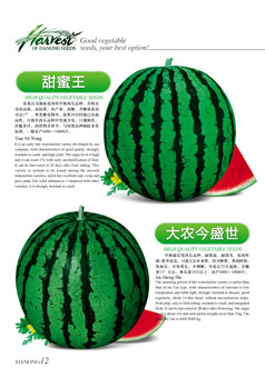 点击在新窗口中打开