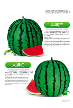 点击在新窗口中打开