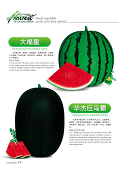 点击在新窗口中打开