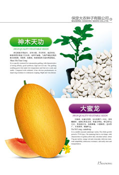 点击在新窗口中打开