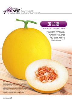 点击在新窗口中打开