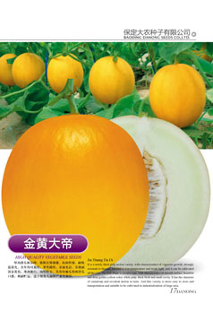 点击在新窗口中打开