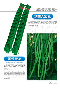 点击在新窗口中打开