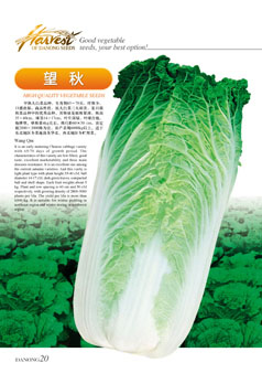 点击在新窗口中打开