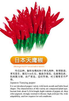 点击在新窗口中打开