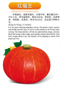 点击在新窗口中打开