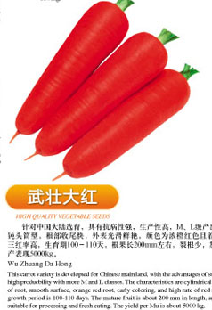 点击在新窗口中打开