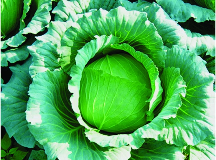 点击在新窗口中打开