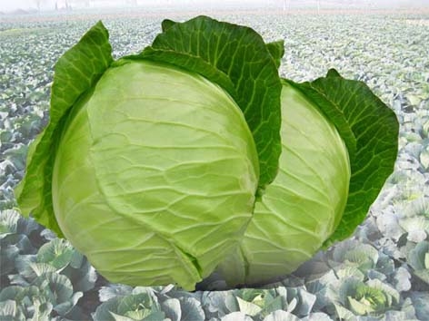 点击在新窗口中打开