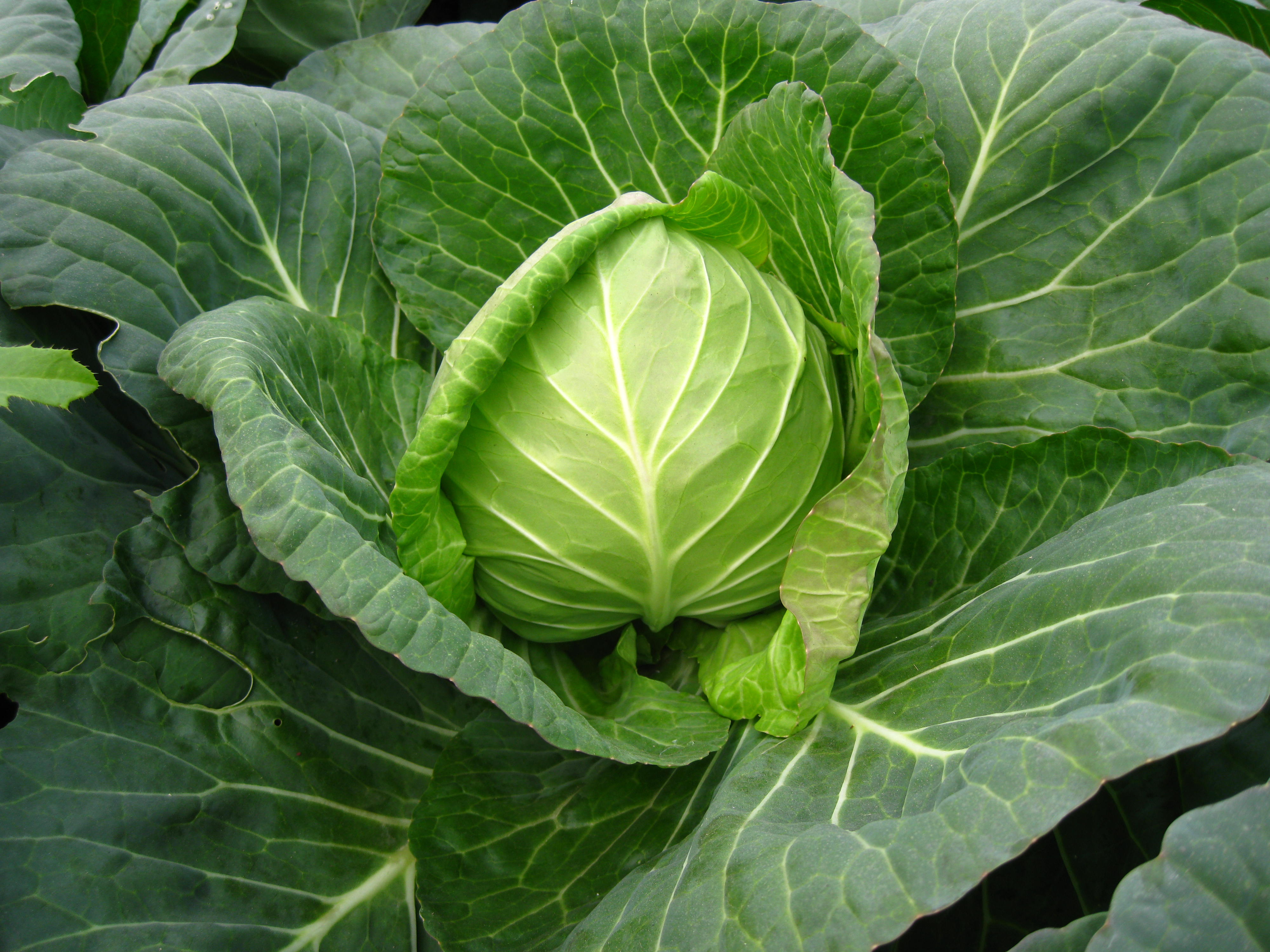 点击在新窗口中打开