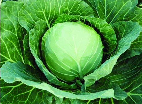 点击在新窗口中打开