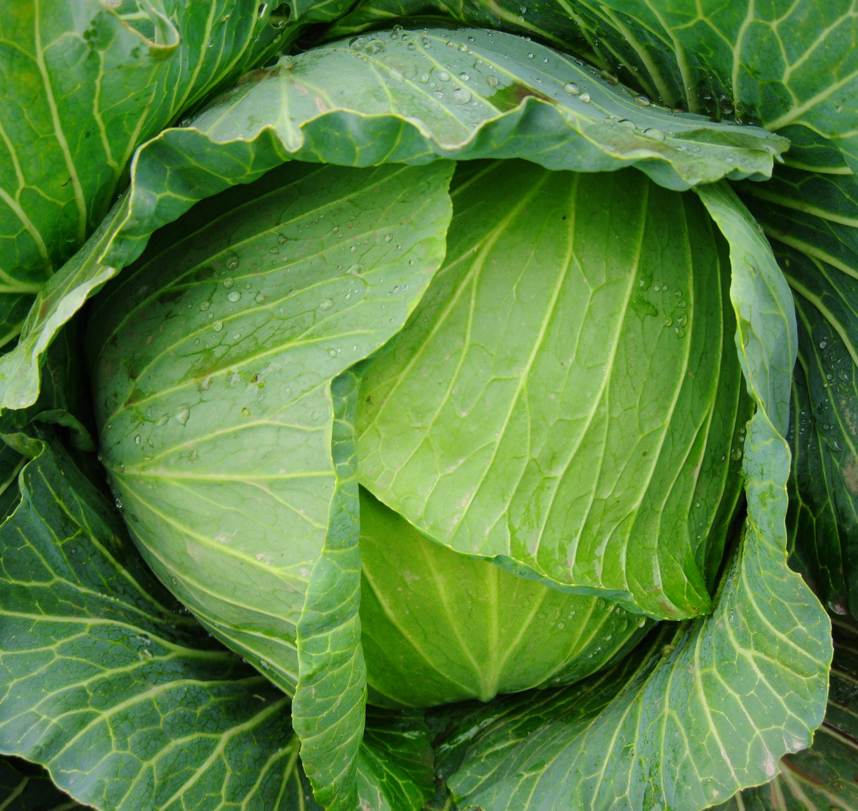 点击在新窗口中打开