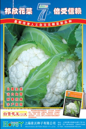 点击在新窗口中打开