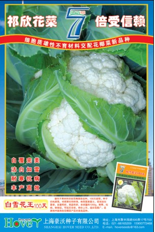 点击在新窗口中打开