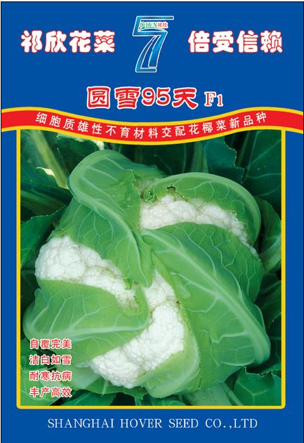 点击在新窗口中打开