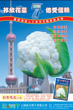 点击在新窗口中打开