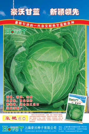 点击在新窗口中打开