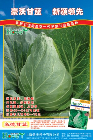 点击在新窗口中打开