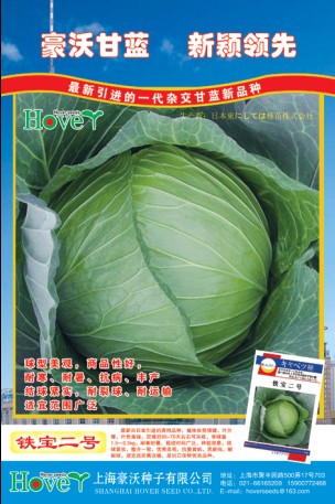 点击在新窗口中打开