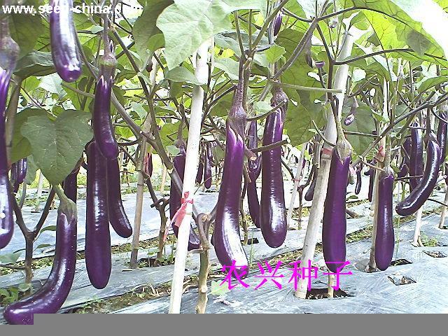 点击在新窗口中打开