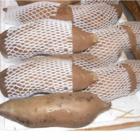 点击在新窗口中打开