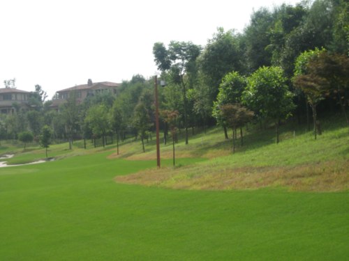 点击在新窗口中打开