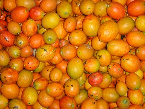 点击在新窗口中打开