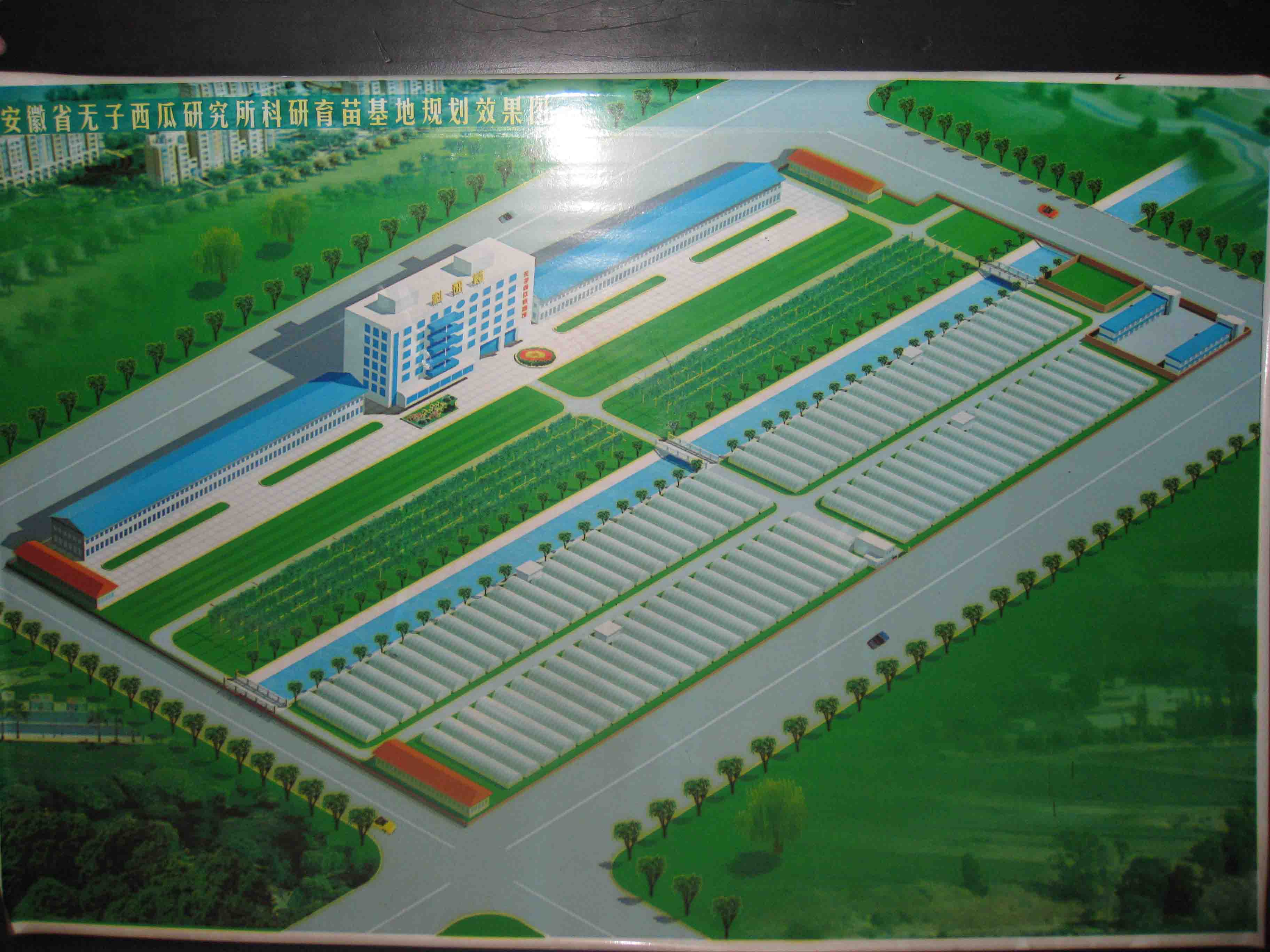 点击在新窗口中打开