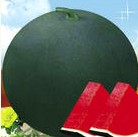 点击在新窗口中打开