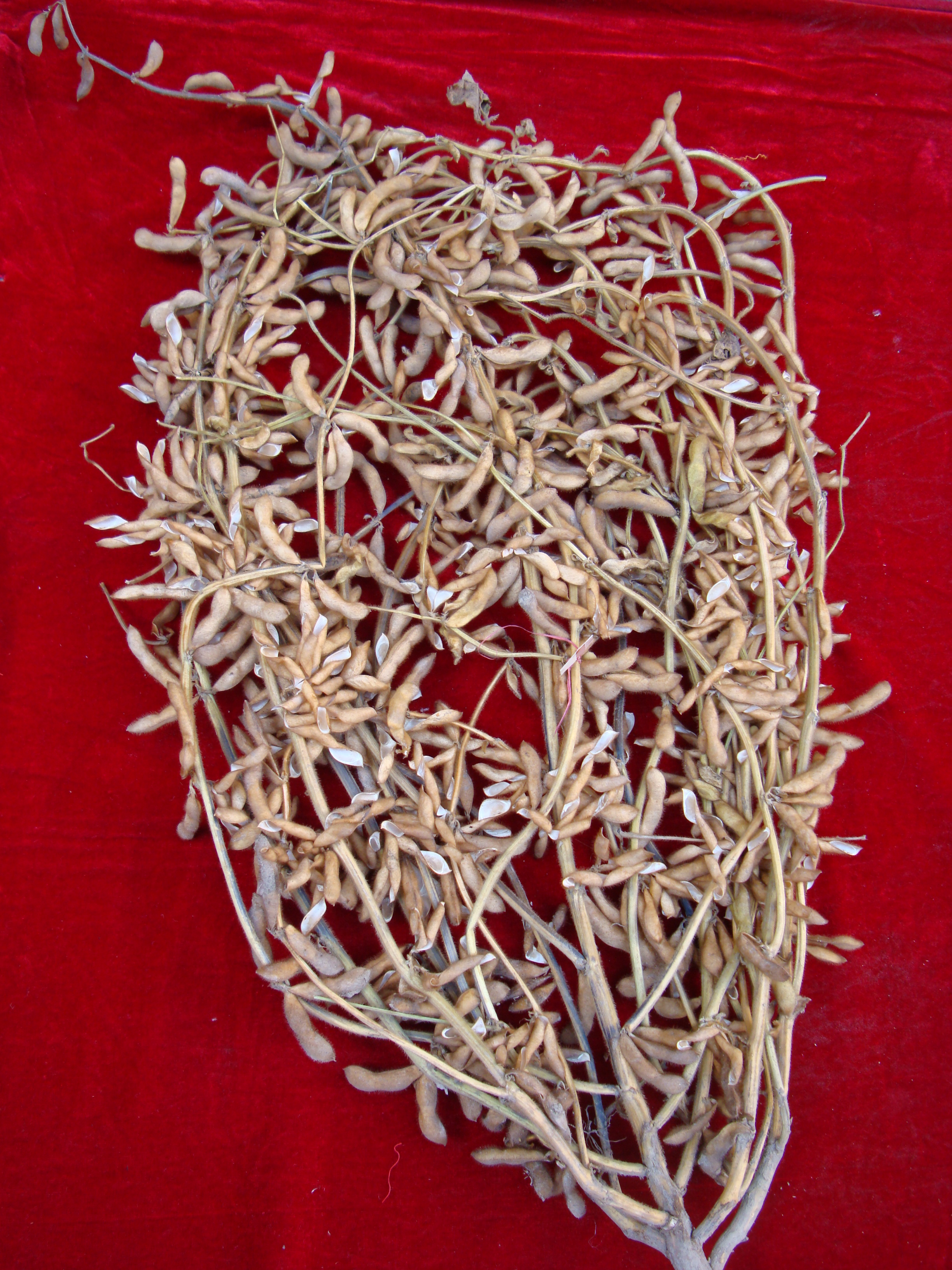 点击在新窗口中打开