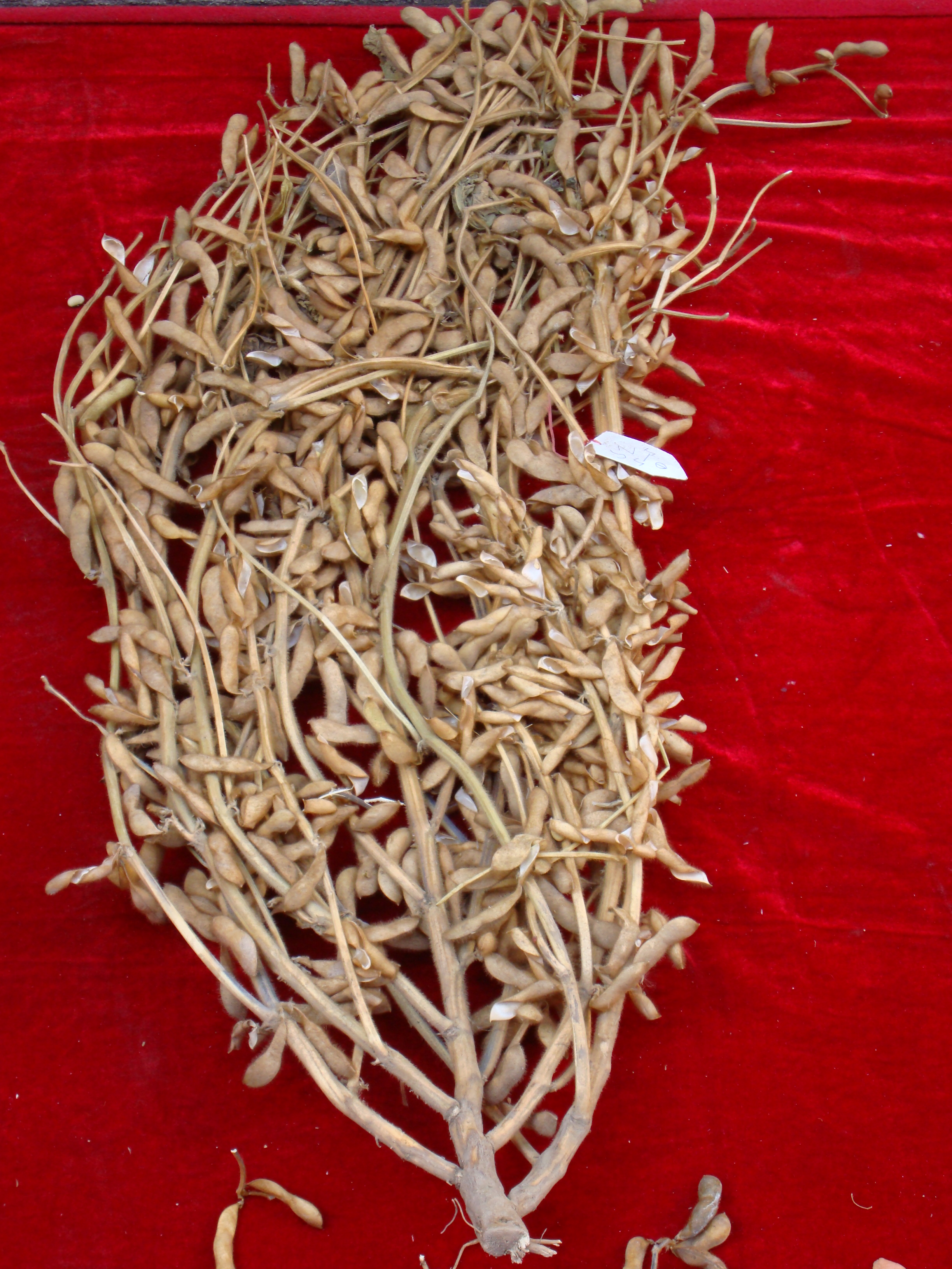 点击在新窗口中打开